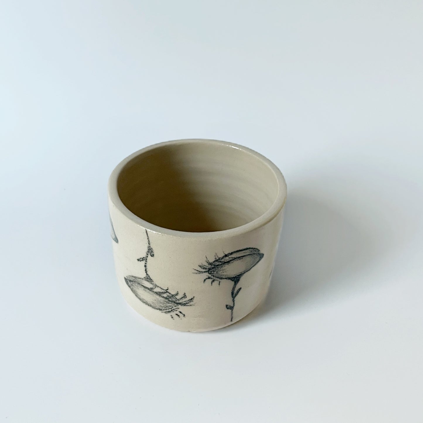 Blank Eye Plant Cup