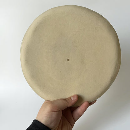Blank Face Plate #1